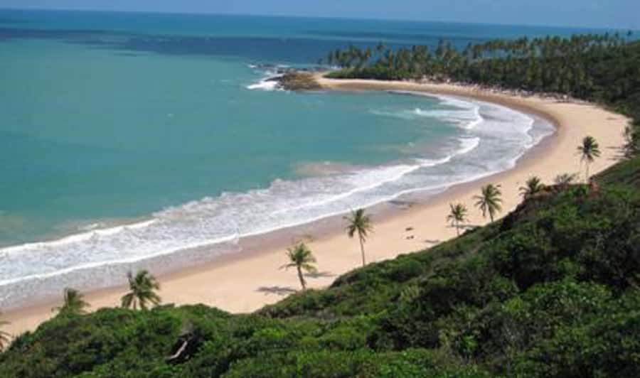 From João Pessoa: Full-Day Southern Coast Beaches Tour - Coqueirinho, the grand finale