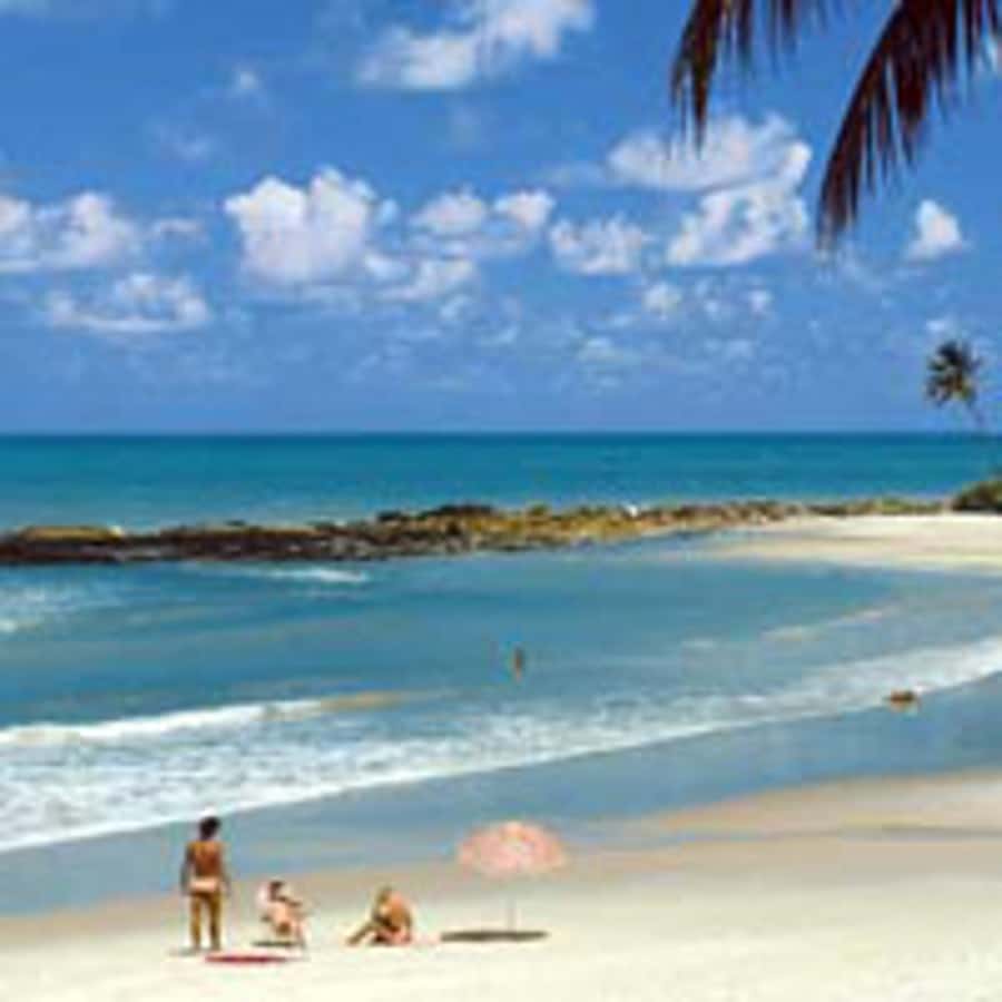 From João Pessoa: Full-Day Southern Coast Beaches Tour - Transport, timing, and what to pack