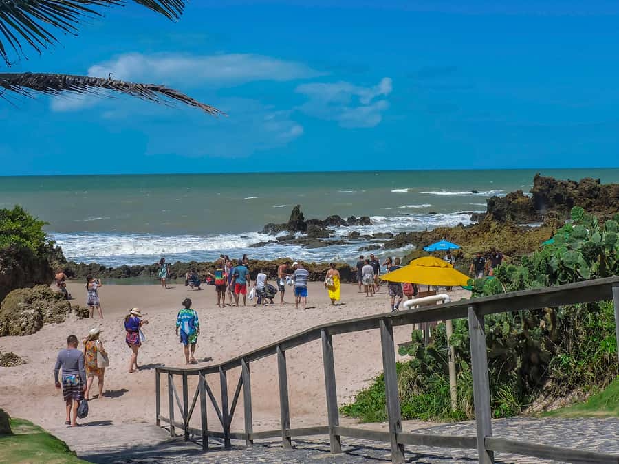 From João Pessoa: Full-Day Southern Coast Beaches Tour - Who will enjoy this tour most