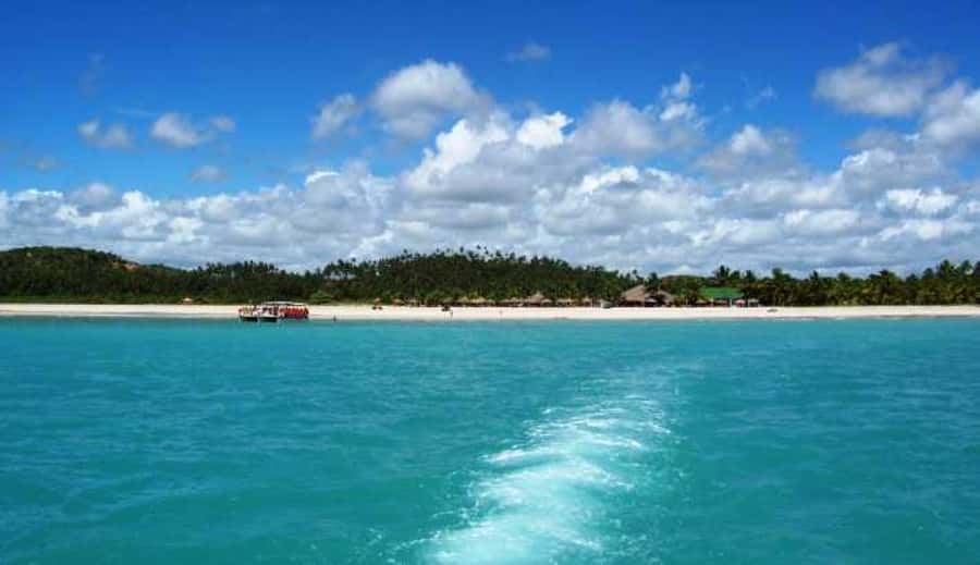 From Maceio: Gunga Beach & Full-Day Tour - Why Gunga Beach makes a good day trip from Maceió