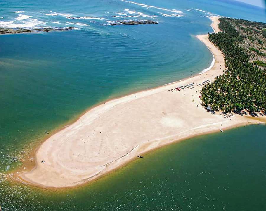 From Maceio: Gunga Beach & Full-Day Tour - What to pack for a tropical beach day