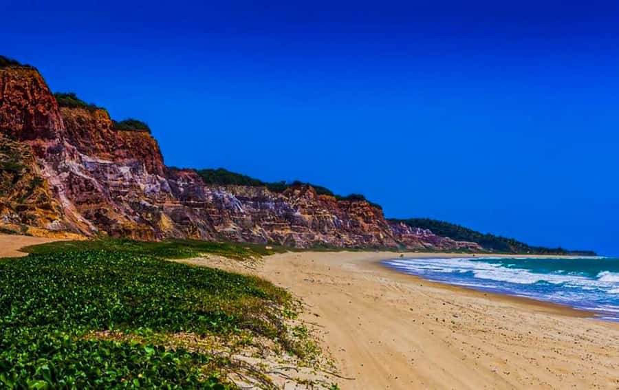 From Maceio: Gunga Beach & Full-Day Tour - Who will enjoy this Gunga Beach outing