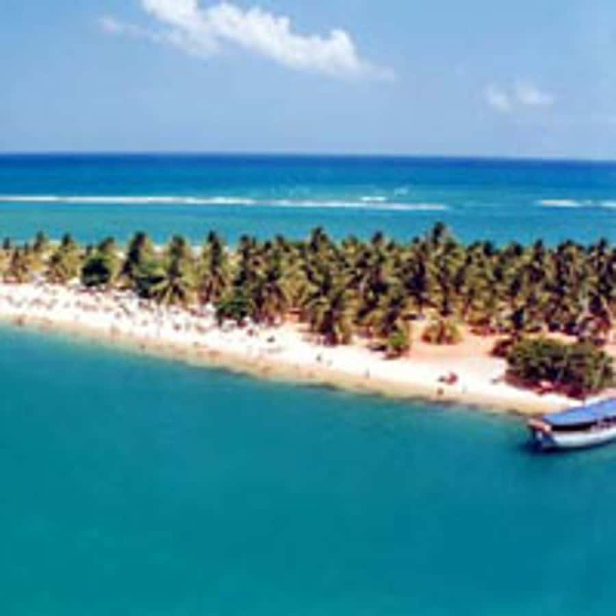 From Maceio: Gunga Beach & Full-Day Tour - From Maceió to Barra de São Miguel