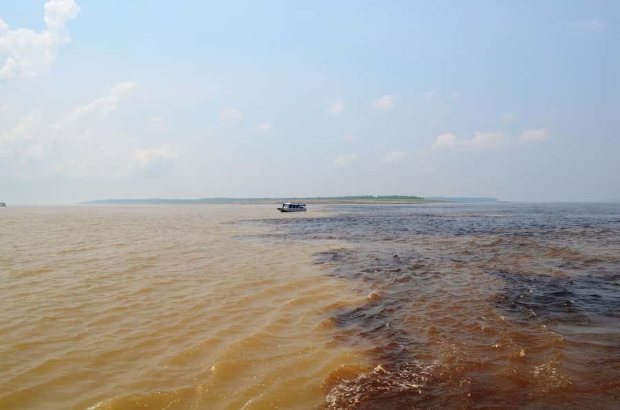 From Manaus: 3 or 4-Day Rio Negro & Anavilhanas River Cruise - The 3-day plan: manioc and a 5 PM return