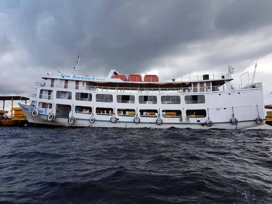 From Manaus: 3 or 4-Day Rio Negro & Anavilhanas River Cruise - Day 1: Janauri trees, water lilies, and dolphins