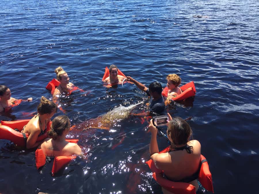 From Manaus: Negro River Half-Day Trip - Key points to know before booking