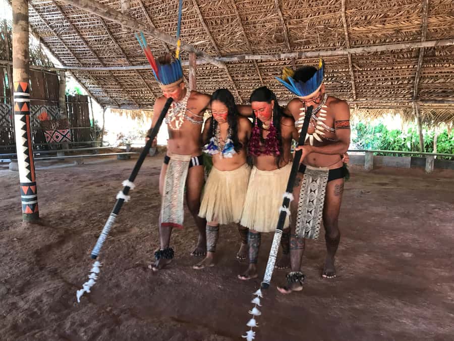 From Manaus: Negro River Half-Day Trip - A practical half-day on the Negro River