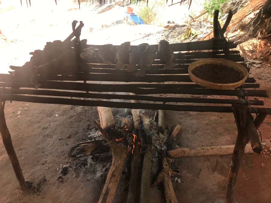 From Manaus: Negro River Half-Day Trip - Swimming at a warm white-sand beach