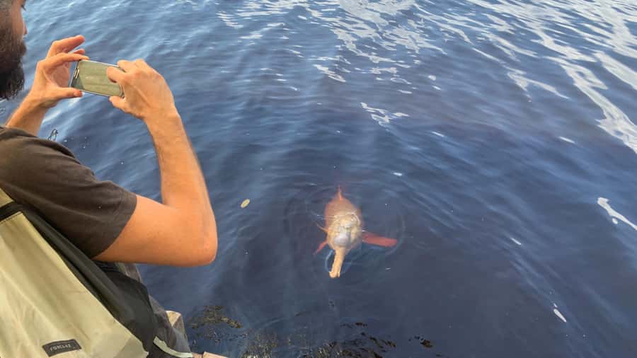 From Manaus: Negro River Half-Day Trip - What the $90 price includes