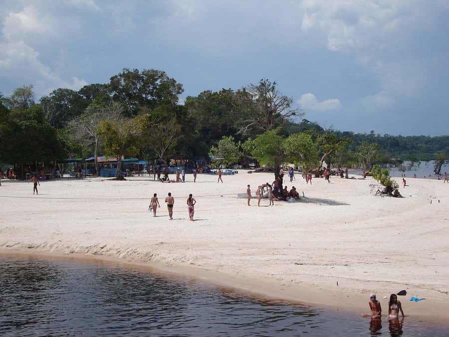 From Manaus: Negro River Half-Day Trip - Timing matters more than the four-hour label