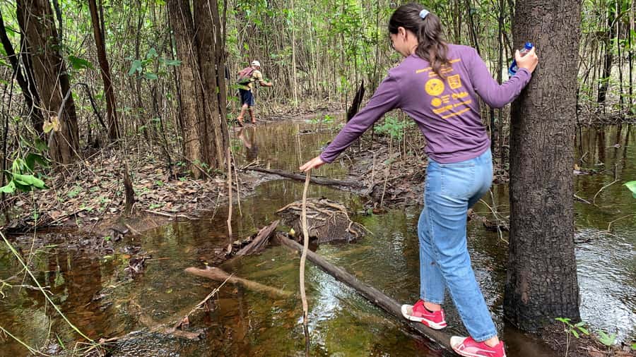 From Manaus: One-Day Amazon Jungle Experience - From Manaus to Castanho Lake