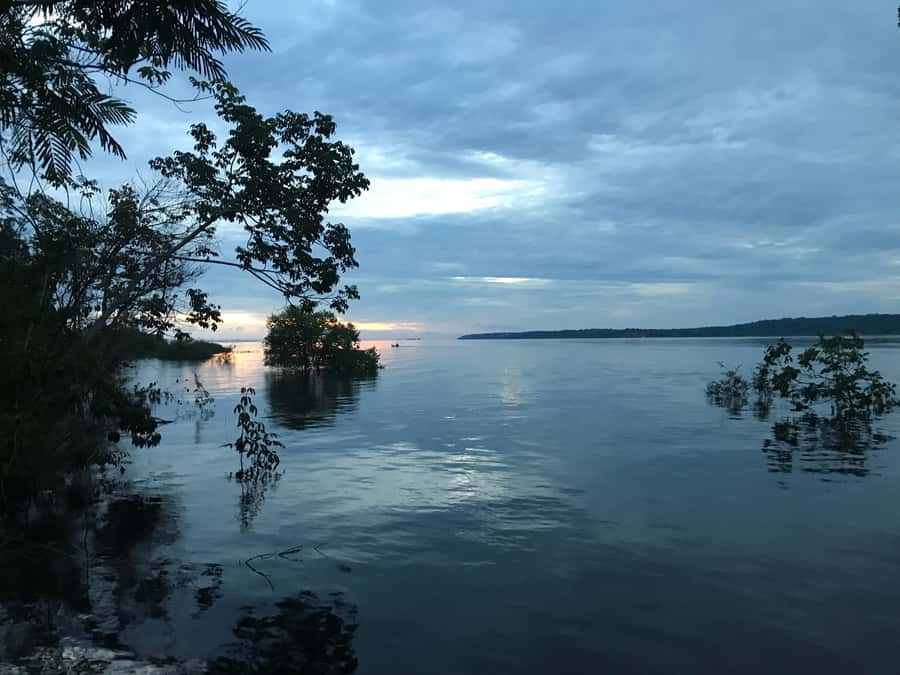 From Manaus: One-Day Amazon Jungle Experience - A simple Amazon lunch with local flavor