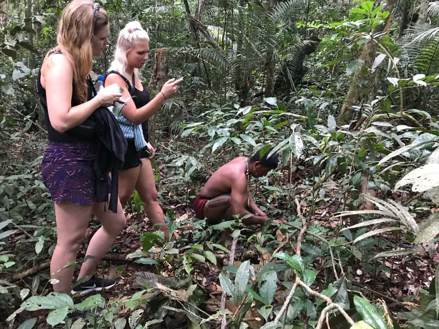 From Manaus: One-Day Amazon Jungle Experience - Swimming with pink river dolphins