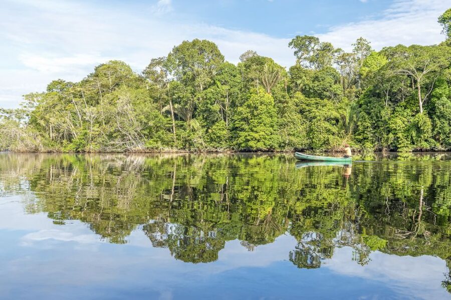 From Manaus: One-Day Amazon Jungle Experience - What the $100 price really covers