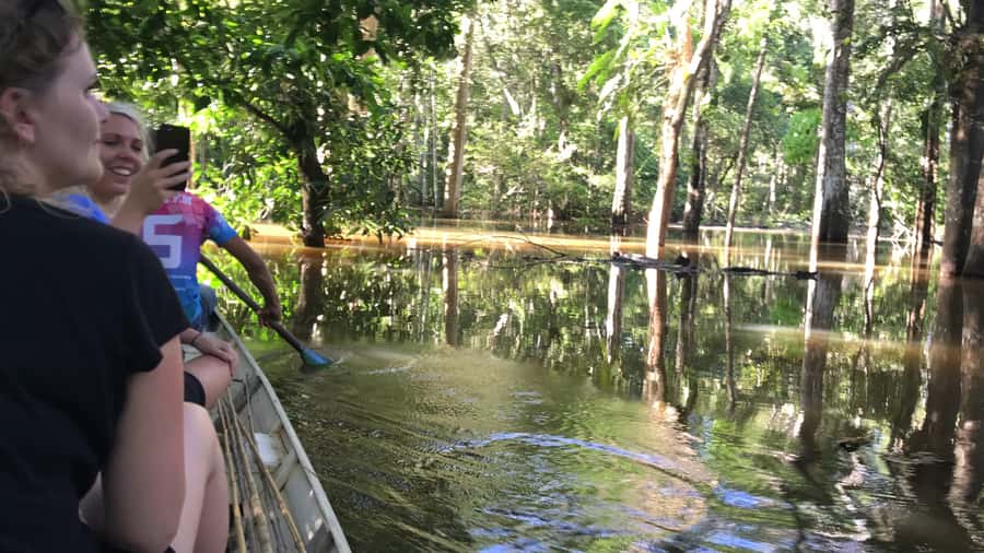 From Manaus: One-Day Amazon Jungle Experience - Walking the forest with Fabio or Dennis