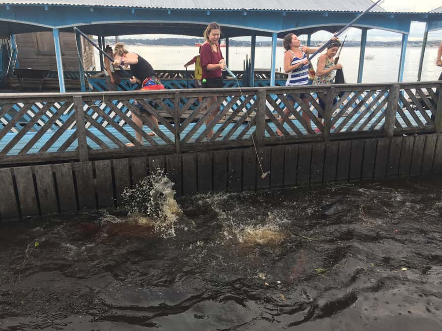 From Manuas: Full-Day River Tour - Water lilies and a forest under floodwater