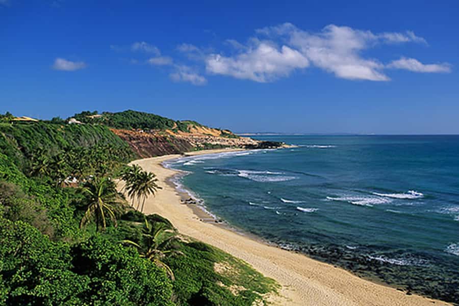 From Natal: Pipa, Cacimbinhas, And Love Beach Full-Day Tour - Key points to know before you book