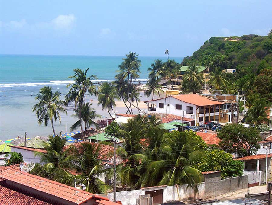 From Natal: Pipa, Cacimbinhas, And Love Beach Full-Day Tour - Dolphins Bay and the low-tide question