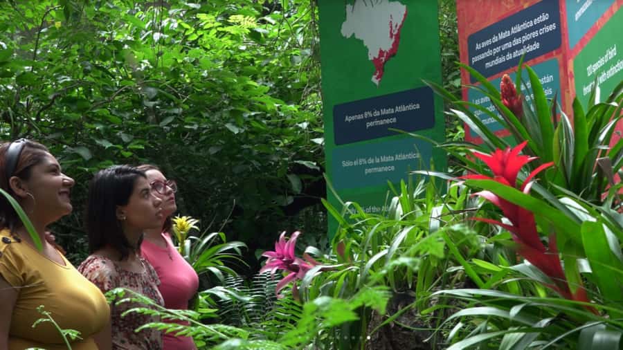 From Puerto Iguazú: Brazilian Bird Park Tour with Tickets - Alligators, reptiles, butterflies, and the flamingo lake
