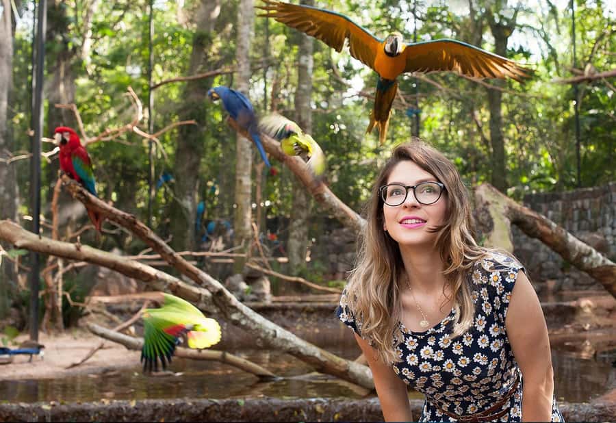 From Puerto Iguazú: Brazilian Bird Park Tour with Tickets - Choosing the backstage upgrade
