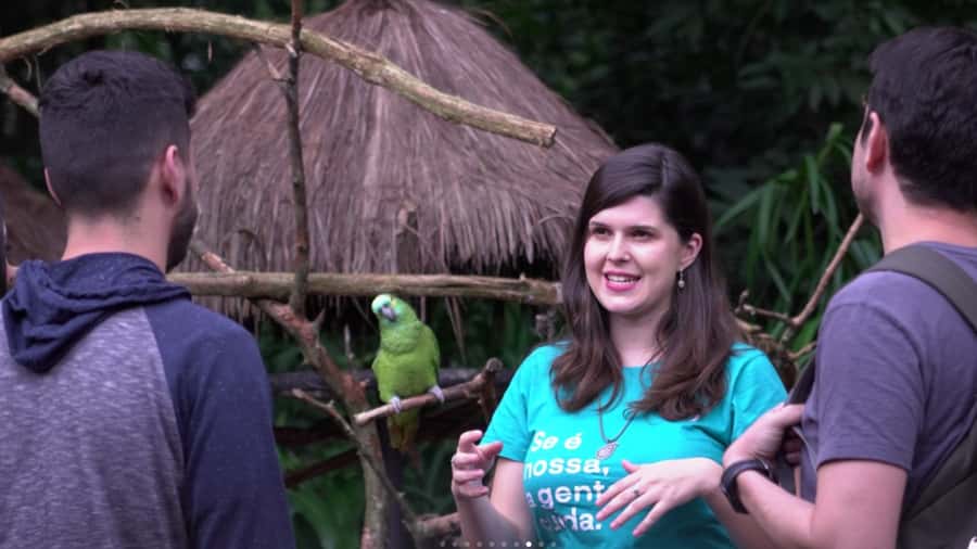 From Puerto Iguazú: Brazilian Bird Park Tour with Tickets - Is the $133 price good value?