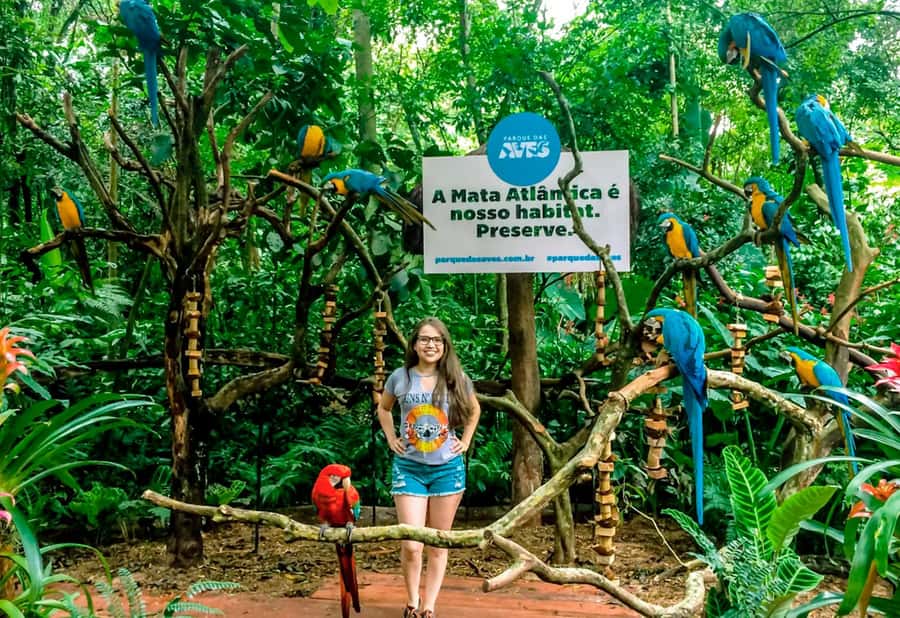 From Puerto Iguazú: Brazilian Bird Park Tour with Tickets - Cancellation, languages, and practical planning