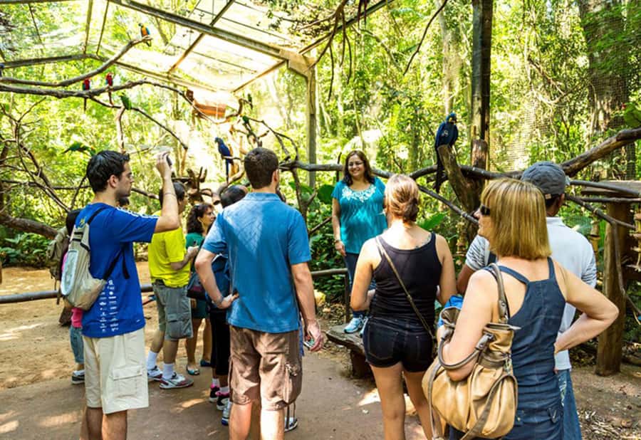 From Puerto Iguazú: Brazilian Bird Park Tour with Tickets - Should you book this Parque das Aves tour?