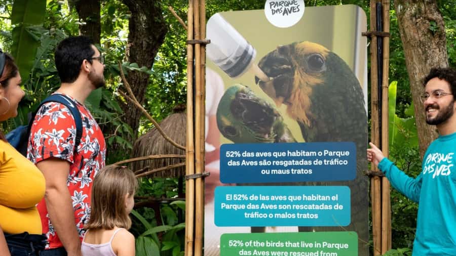 From Puerto Iguazú: Brazilian Bird Park Tour with Tickets - Walking the two-hour rainforest route