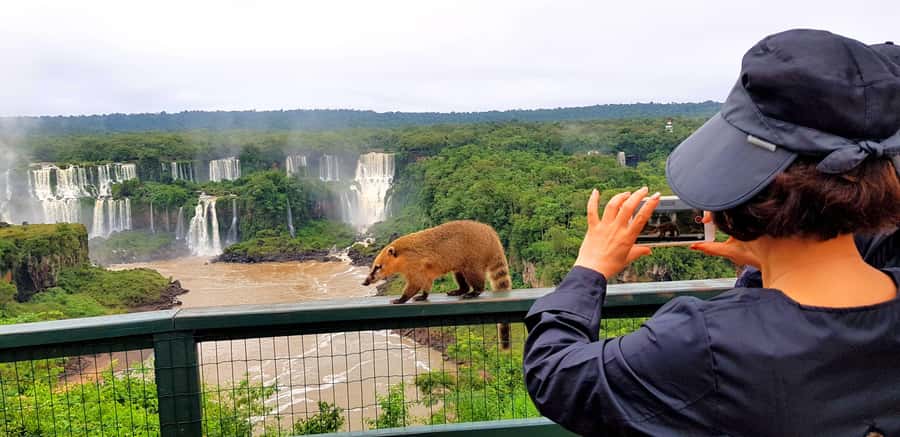 From Puerto Iguazu: Brazilian Falls with Boat Adventure - Key points to know before booking