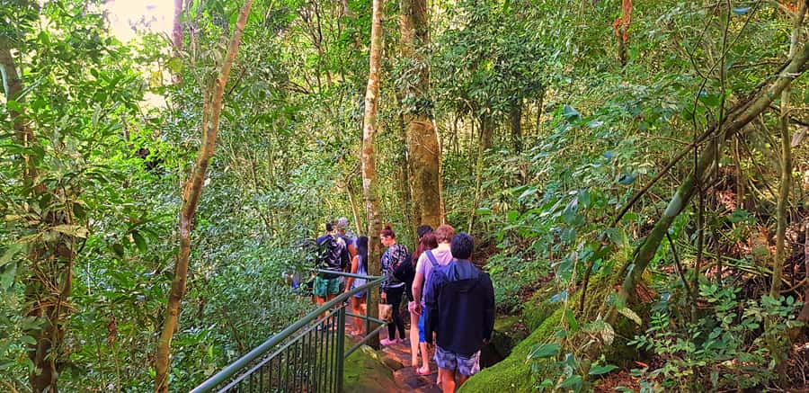 From Puerto Iguazu: Brazilian Falls with Boat Adventure - Devil’s Throat from the Brazilian side