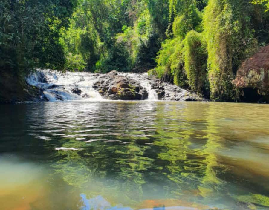 From Puerto Iguazu: Secret Falls Adventure - Key points to know before booking