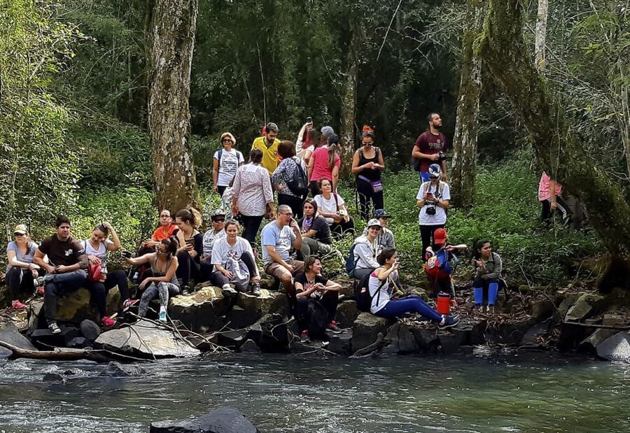 From Puerto Iguazu: Secret Falls Adventure - Ten falls for a full day
