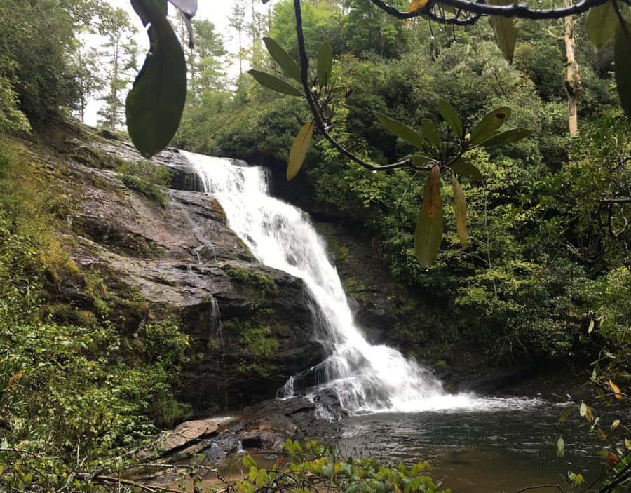 From Puerto Iguazu: Secret Falls Adventure - A guide-led forest experience