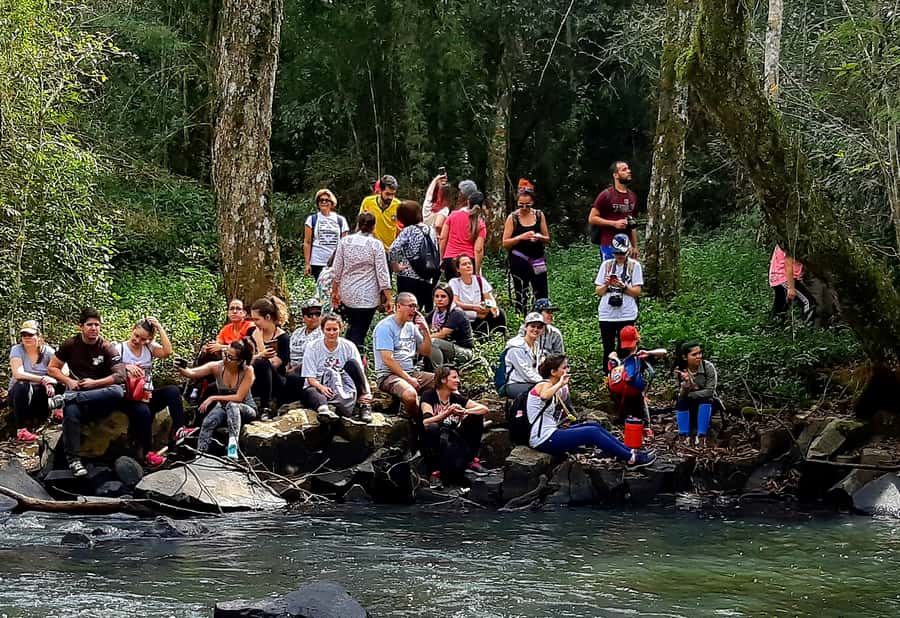 From Puerto Iguazu: Secret Falls Adventure - Who should book this outing