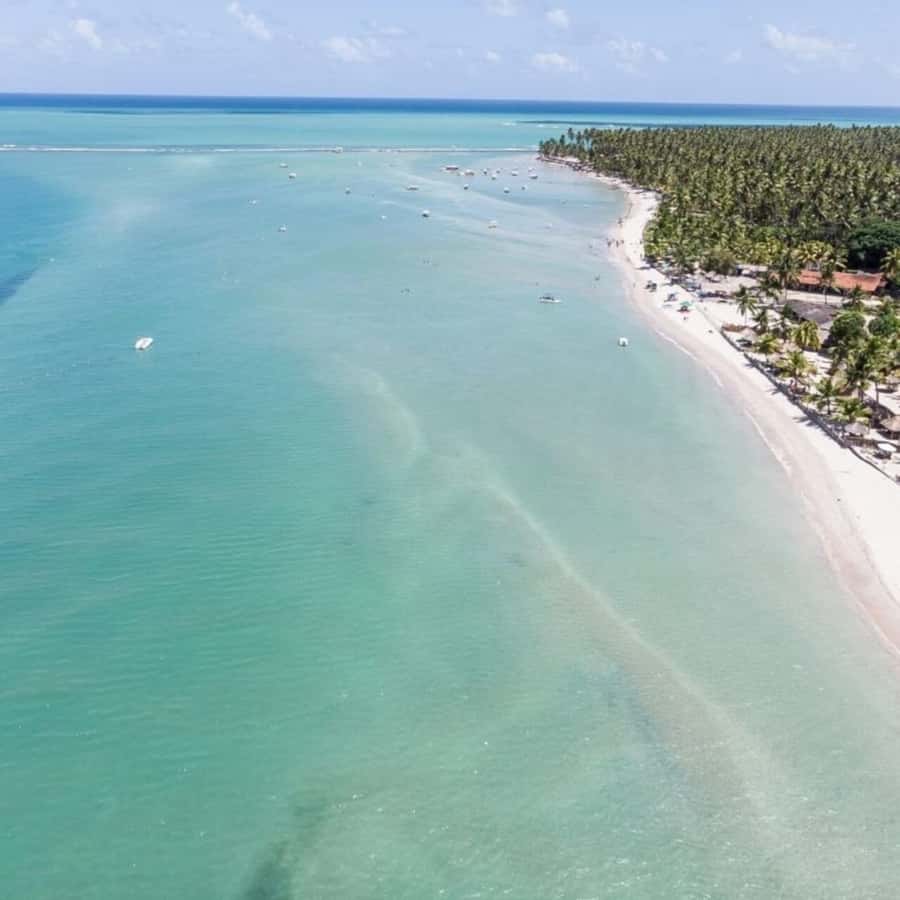 From Recife : Carneiros Beach - Key Points Before You Book
