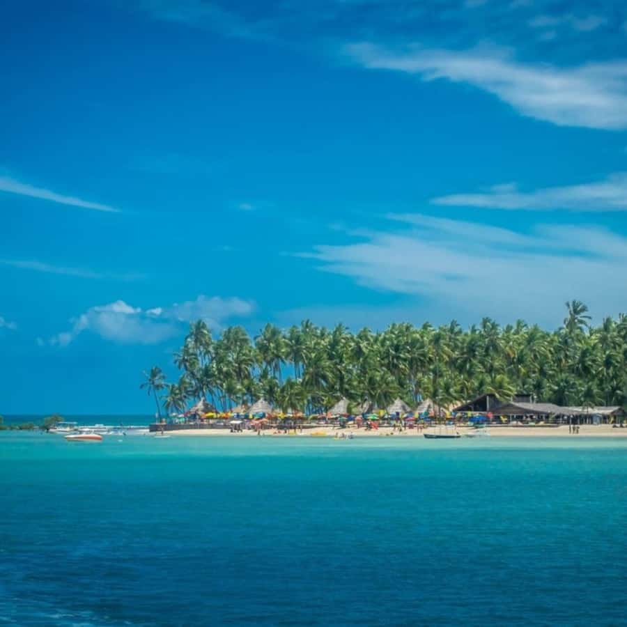 From Recife : Carneiros Beach - Leaving Recife With Early Hotel Pickup