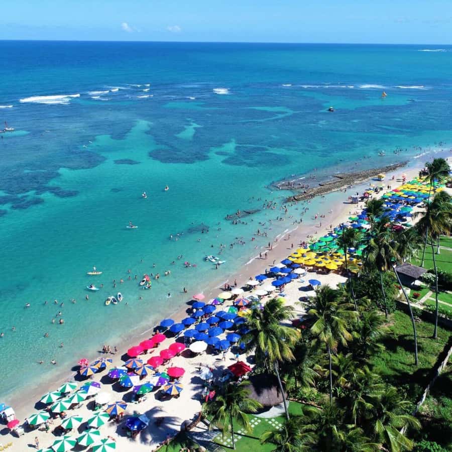 From Recife : Tour for Porto de Galinhas - Why Porto de Galinhas makes a good day trip from Recife