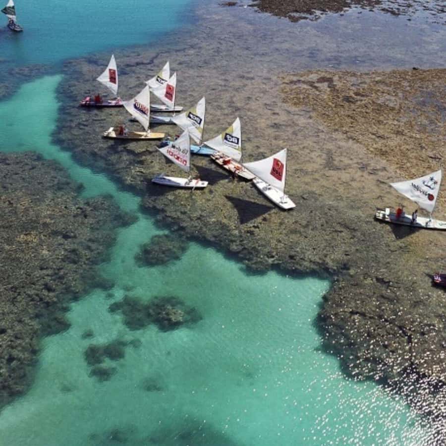 From Recife : Tour for Porto de Galinhas - Who gets good value from the $30 price