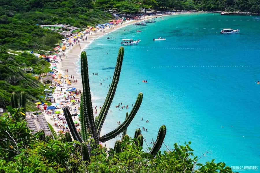 From Rio de Janeiro: Arraial do Cabo Island Day Trip - Weather, timing, and the land-based backup plan