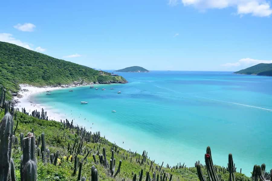 From Rio de Janeiro: Arraial do Cabo Island Day Trip - Getting through the terminal and onto the boat