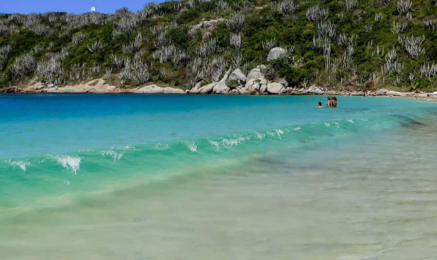 From Rio de Janeiro: Arraial do Cabo Island Day Trip - Swimming, marine life, and what to bring