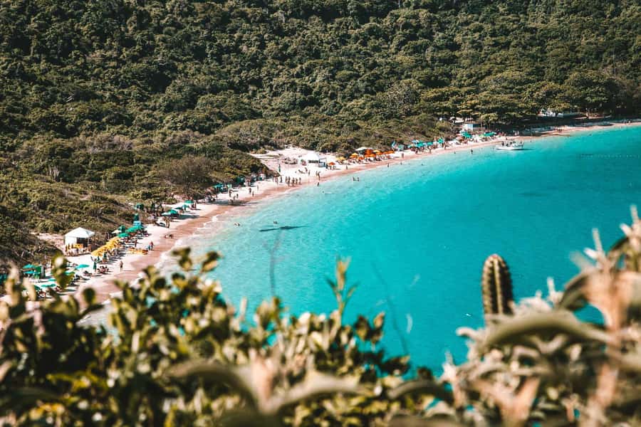 From Rio de Janeiro: Arraial do Cabo Island Day Trip - Lunch with Brazilian buffet dishes