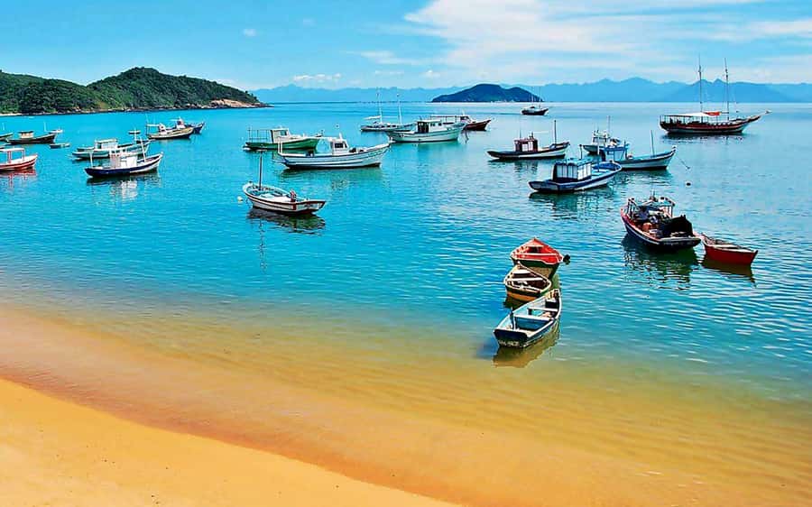 From Rio de Janeiro: Búzios Full-Day Boat Tour - Is the $69 price fair?