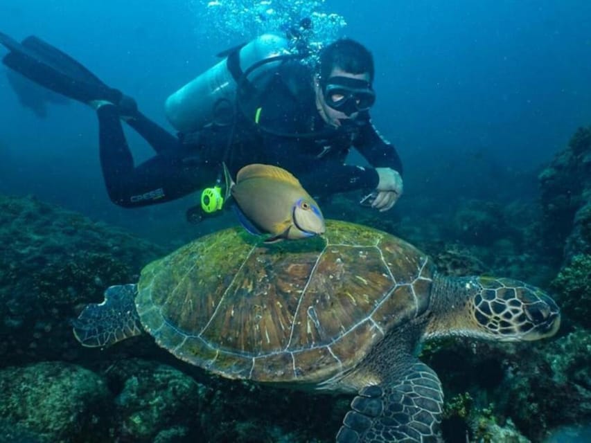 from Rio de Janeiro: Diving in Buzios - Returning to Rio at 6 p.m.