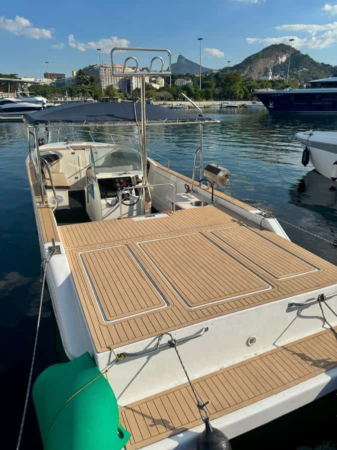 From Rio de Janeiro: Private Speedboat Tour - Captain Wellington and the language question