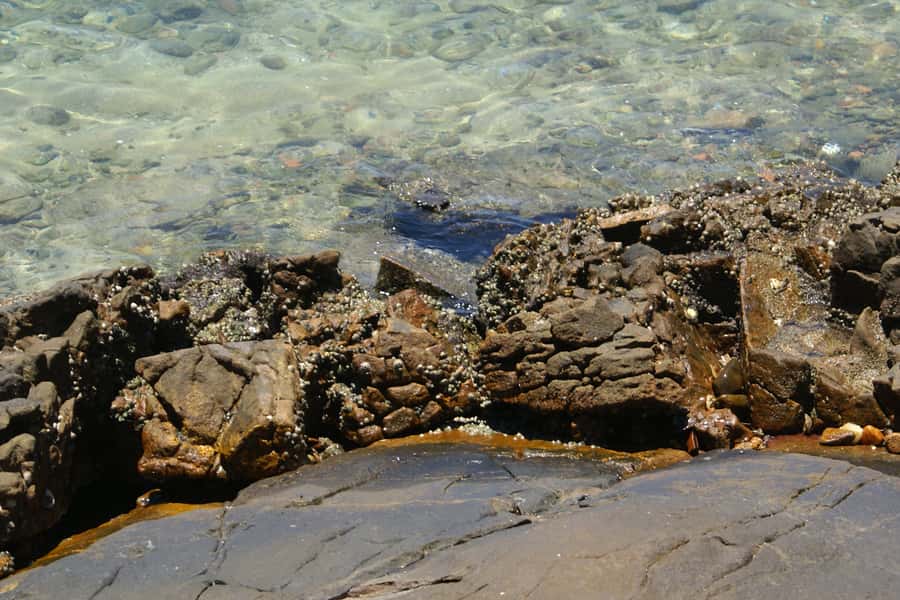 From Rio: Full-Day Angra dos Reis Cruise & Island Tour - What the $98 price really covers