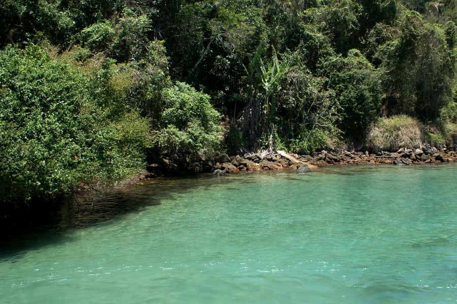 From Rio: Full-Day Angra dos Reis Cruise & Island Tour - Who should book this cruise