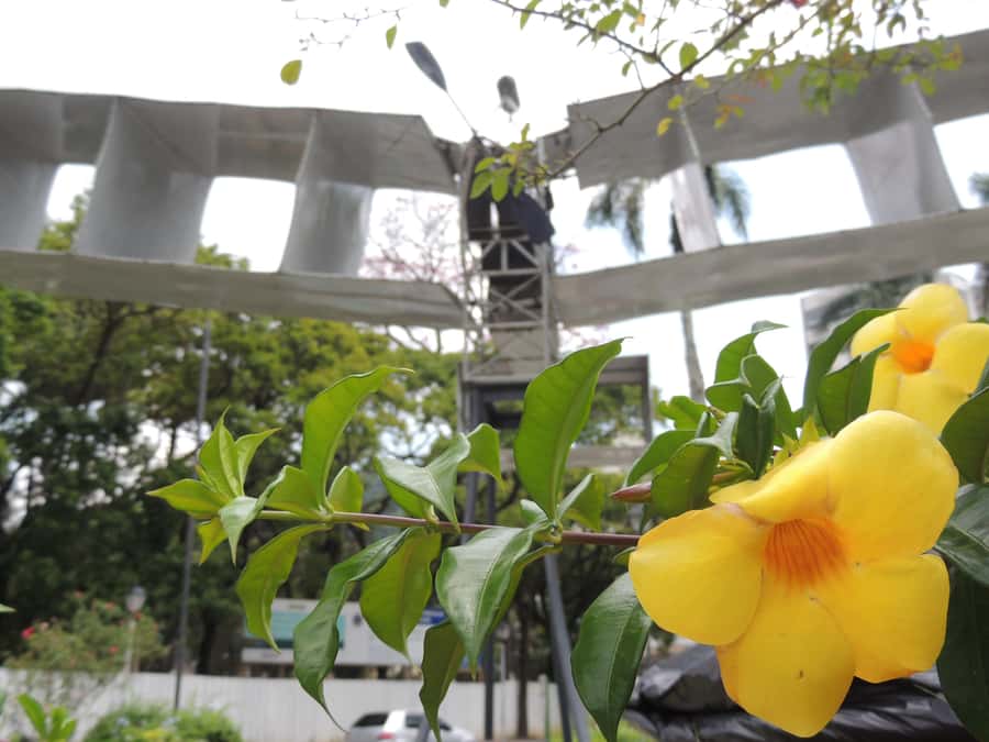 From Rio: Full-Day Tour to The Imperial City of Petrópolis - Streets, shopping, lunch, and the cost of lost time