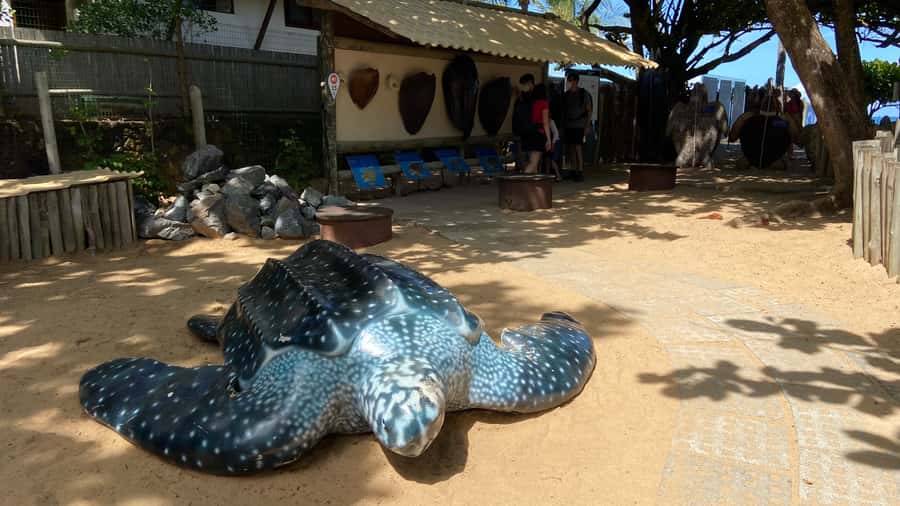 From Salvador: Praia do Forte & Guarajuba Beach Daytrip - Local Crafts and the Seaside Village