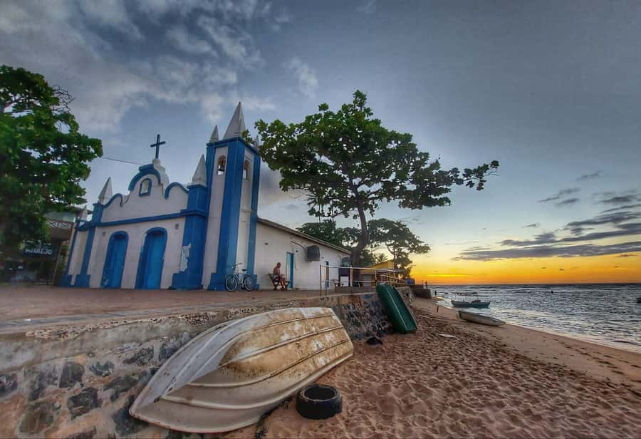 From Salvador: Praia do Forte & Guarajuba Beach Daytrip - Guides, Languages, and the Small-Group Feel